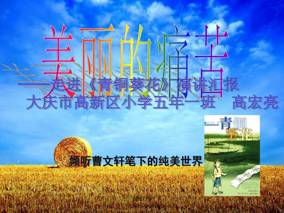 青铜葵花阅读指导课件.ppt_第1页