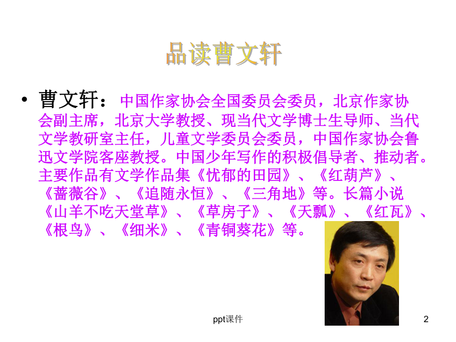 青铜葵花阅读指导课件.ppt_第2页