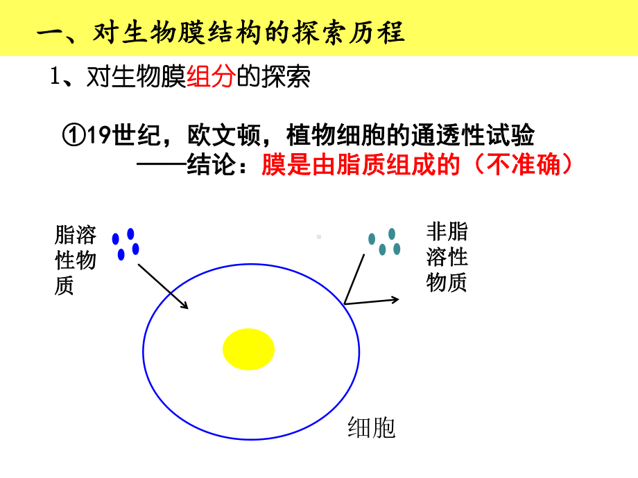 流动镶嵌模型课件.pptx_第2页