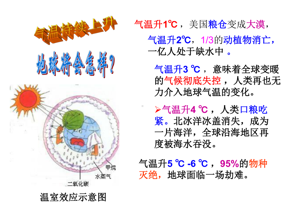 生物与环境专题复习课件.ppt_第2页