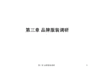 第三章-品牌服装调研课件.ppt