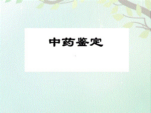 中药鉴定课件.ppt