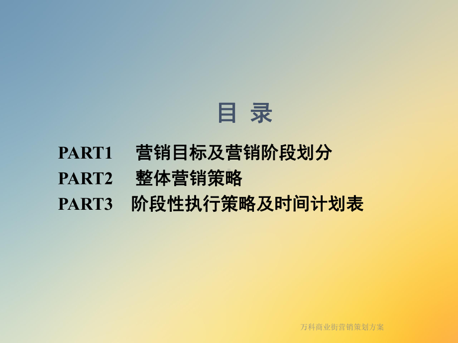 万科商业街营销策划方案.ppt_第2页