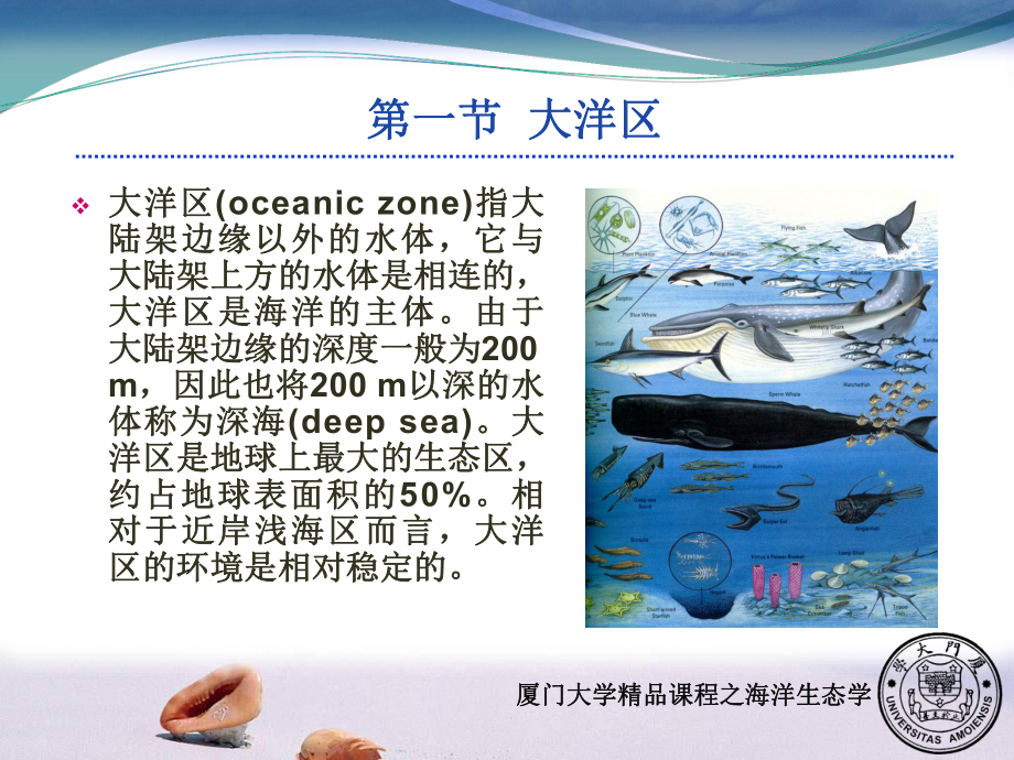 深海区热液口区和极地海区-厦门大学海洋与地球学院课件.ppt_第2页