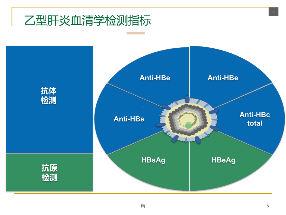 传染病四项规范导则讨论课件.ppt_第3页