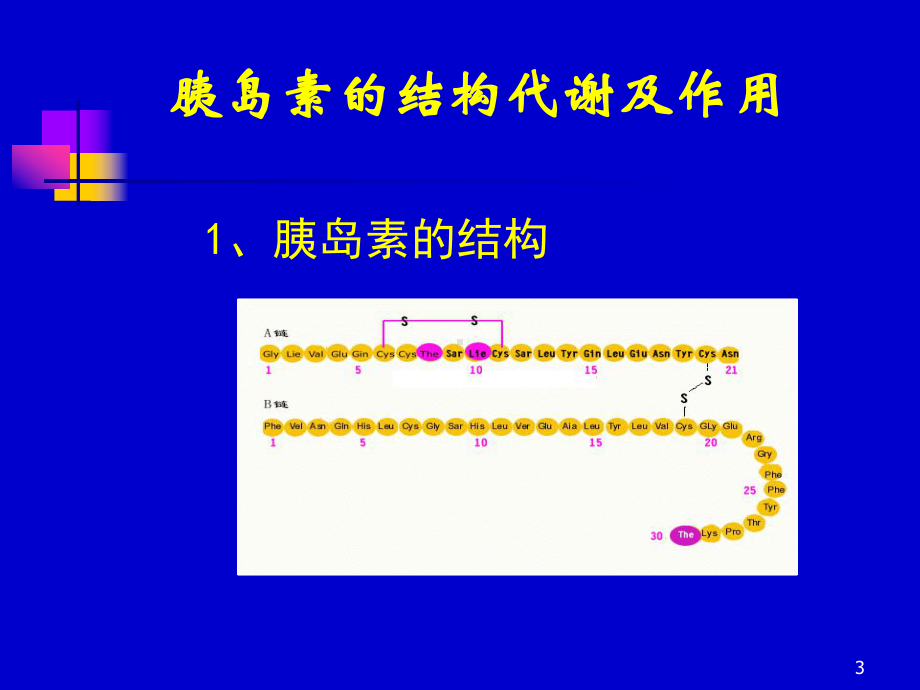 胰岛素的临床应用课件.ppt_第3页