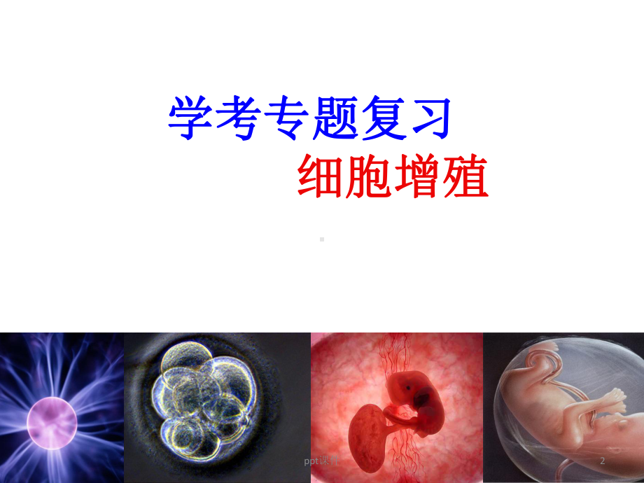 有丝分裂复习(公开课)课件.ppt_第2页