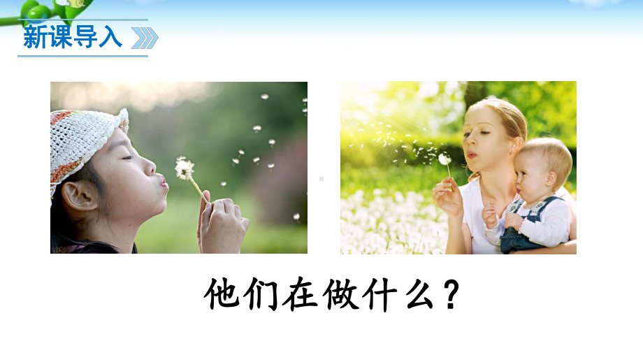 植物妈妈有办法-优秀课件.ppt_第2页