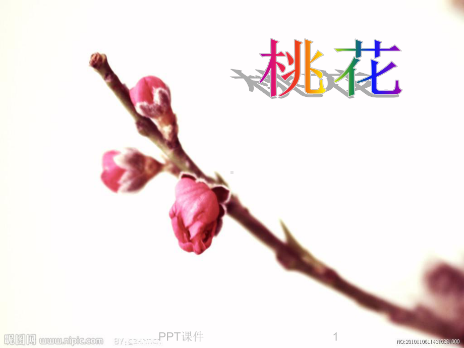 写桃花的作文课件.ppt_第1页