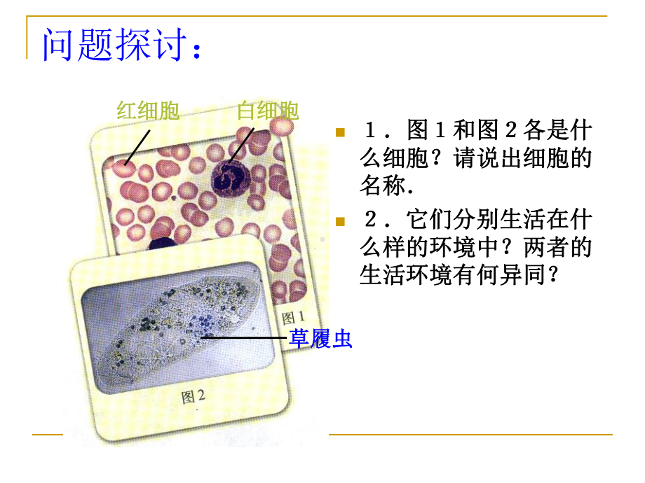 人教版-高中生物-必修3-第一章-第一节-细胞生活的环境课件.pptx_第3页