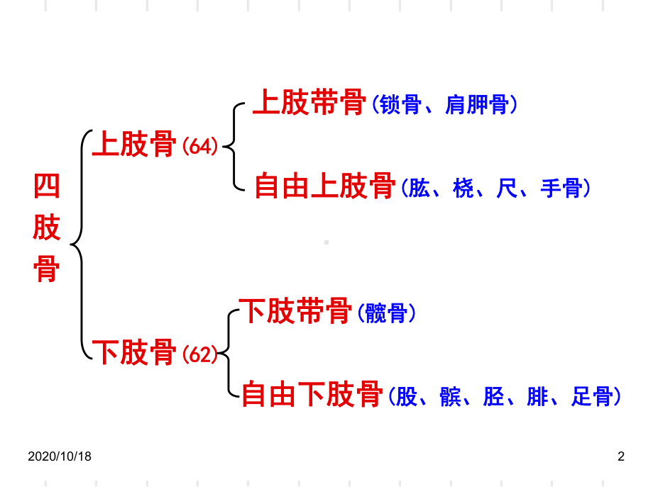 正常人体解剖学课件-四肢骨骼优选课件.ppt_第2页