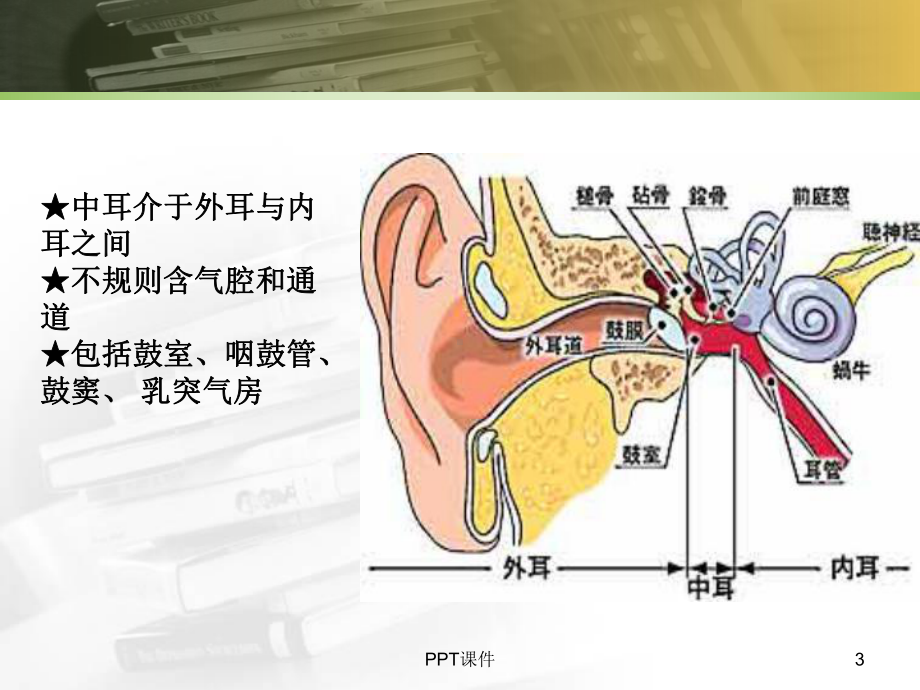 鼓室解剖课件.ppt_第3页