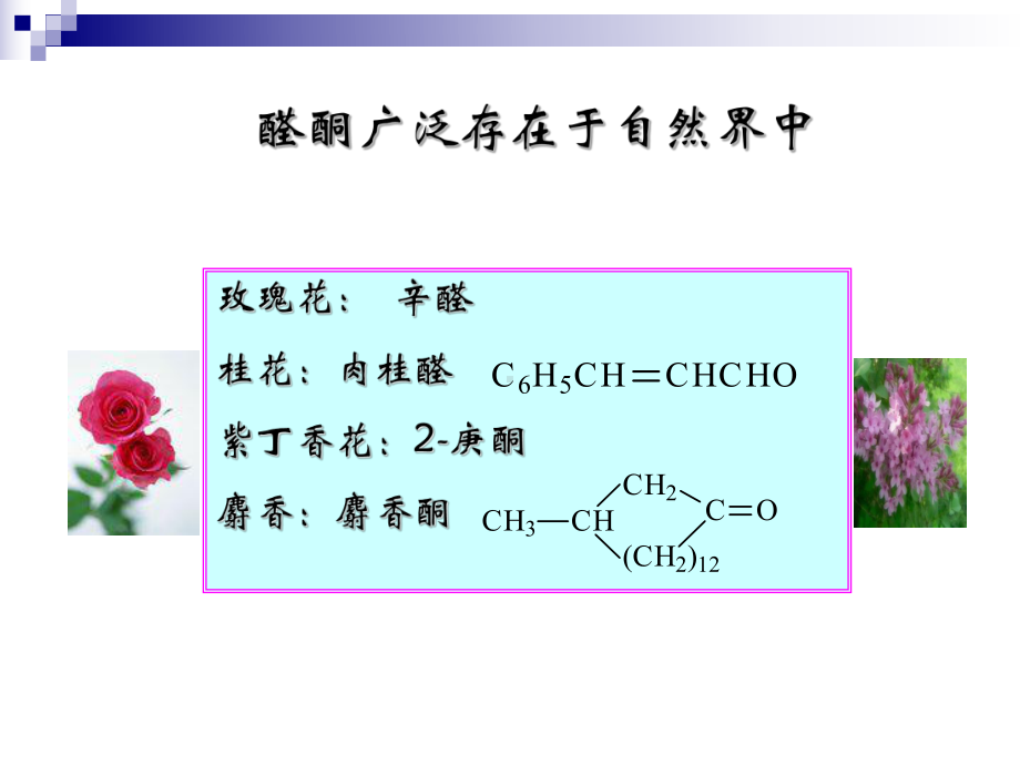 各类有机化合物的命名课件.ppt_第2页