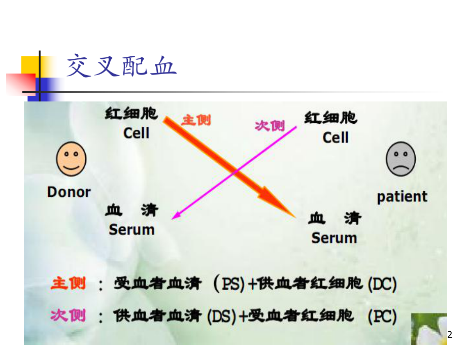 交叉配血课件.ppt_第2页