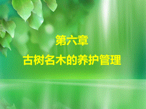 第六章-古树名木的养护管理课件.ppt