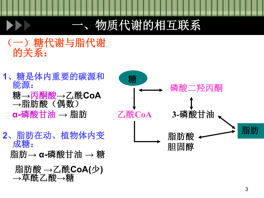 代谢的调节医学课件.ppt_第3页