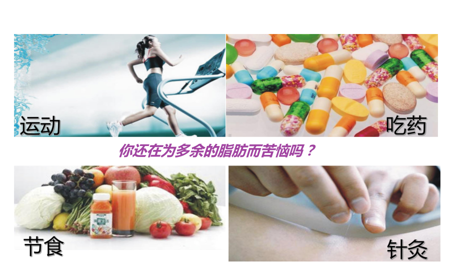 微整形溶脂体雕课件.ppt_第2页