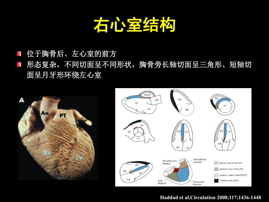 超声心动图在肺动脉高压诊断中的应用及评价右心功能的新进展课件.ppt_第3页