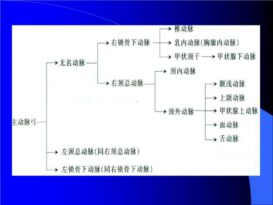 最新颈动脉超声检查及诊断标准课件.ppt_第3页