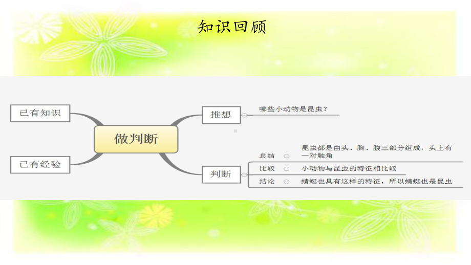 湘教版六年级上册科学课件-第6单元-我们怎样做判断-复习课件.pptx_第2页