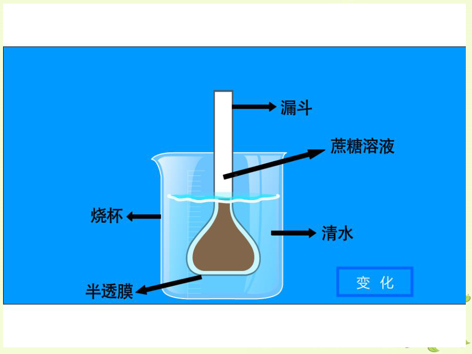 人教版必修一第四章第一节被动运输课件.pptx_第2页