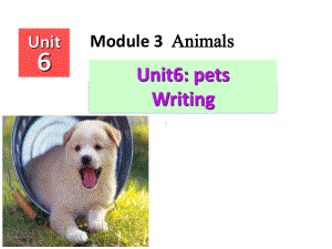 广州牛津版八年级下册Unit6-Pets-Writing课件.pptx