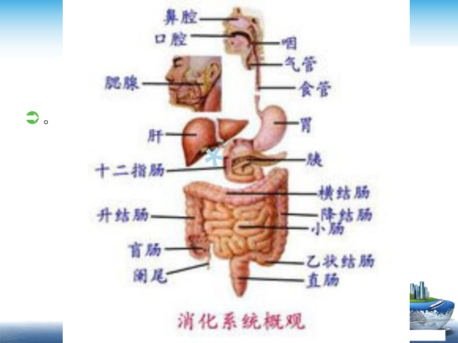 胃肠镜检查前后的护理90517课件.ppt_第2页