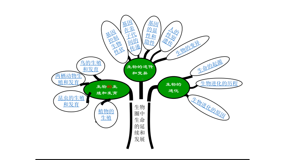 中考生物知识点归纳八年级下册人教版课件.pptx_第2页