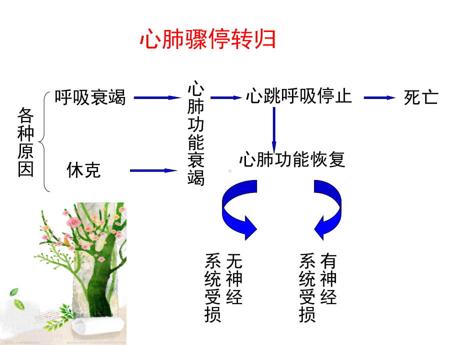 儿童心肺复苏知识分享课件.ppt_第3页