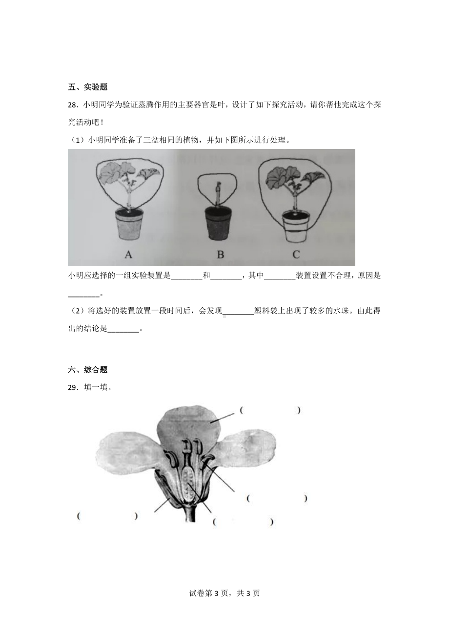 （青岛版）科学三年级上学期第二单元综合测试卷（2套）含答案.doc_第3页