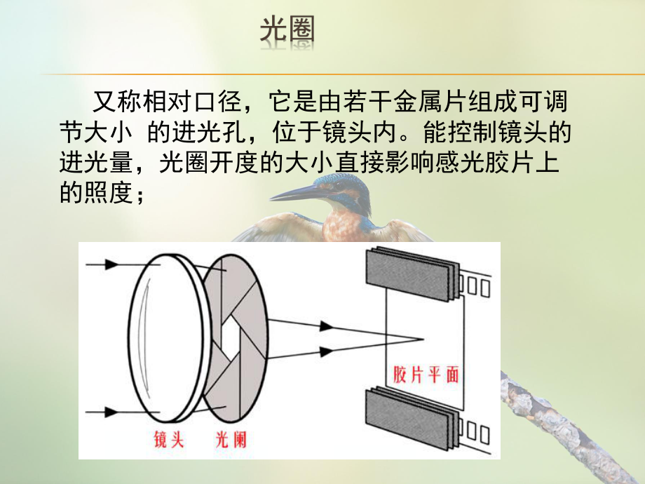 第四课光圈焦距景深快门的不同作用-照相机的操作课件3.ppt_第3页