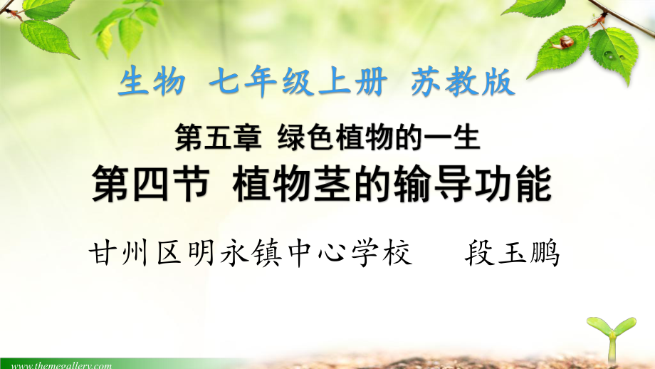 初中生物七年级上册《第四节植物茎的输导功能》课件.ppt_第1页