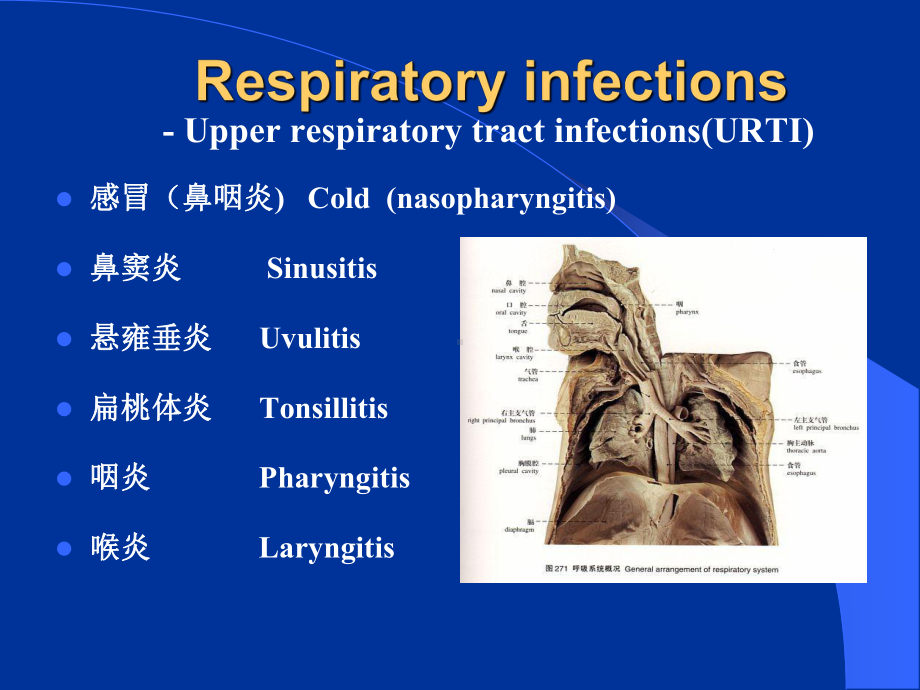 呼吸系统疾病-浙江大学课件.ppt_第2页