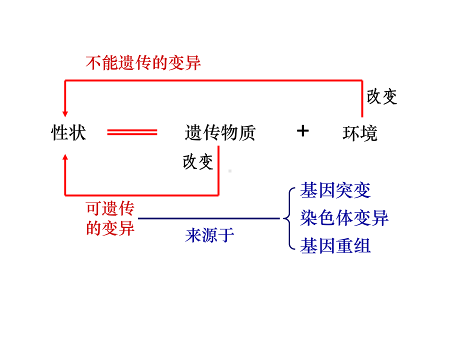 基因突变及其他变异课件.ppt_第3页