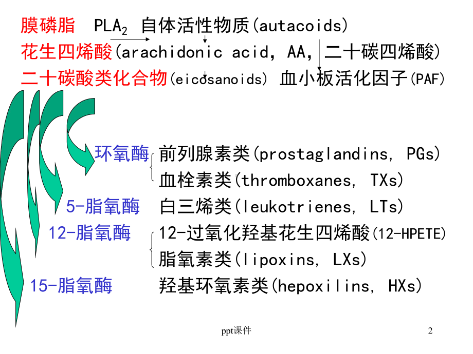 花生四烯酸代谢物及其作用-2课件.ppt_第2页