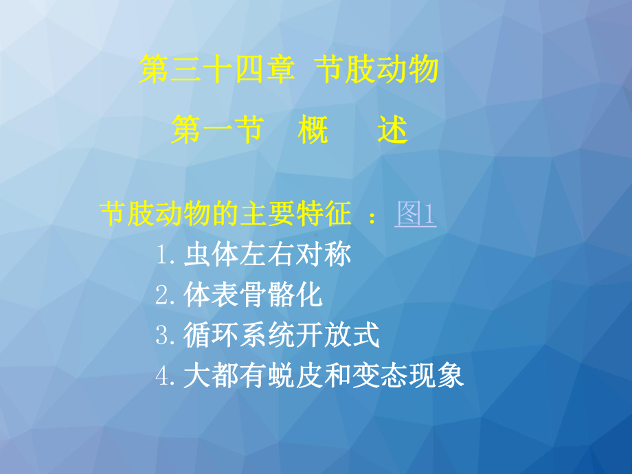 医学节肢动物课件.ppt_第2页