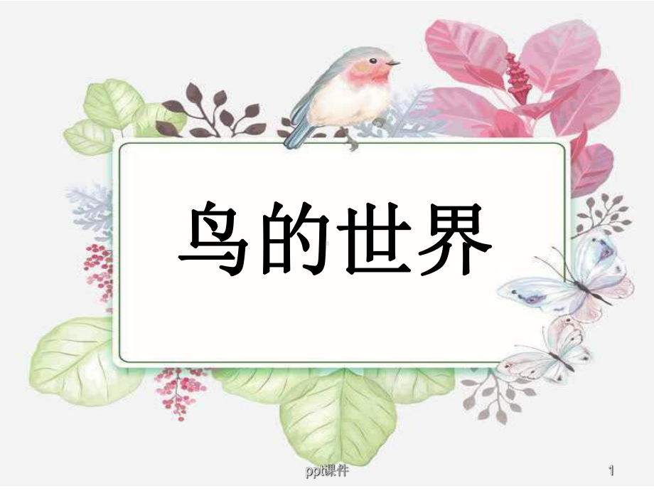 鸟的世界课件.ppt_第1页