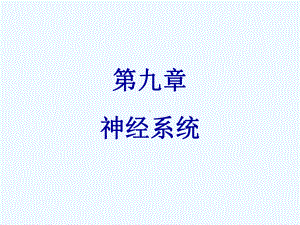 课件-第九章-神经系统.ppt