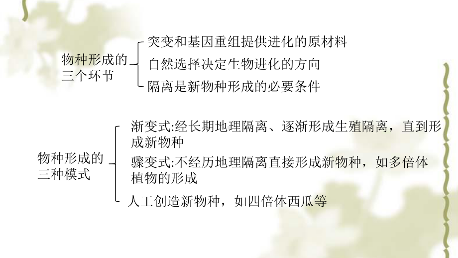 人教版高一必修二64协同进化和生物多样性习题课教学课件.pptx_第3页