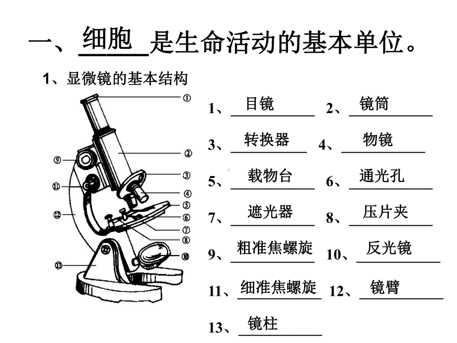 初中生物会考复习资料课件.ppt_第2页