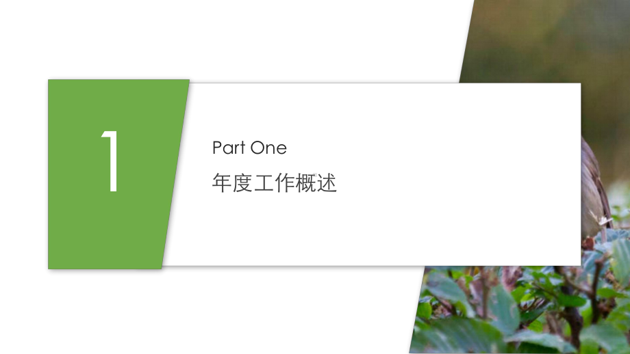 叶片文艺工作总结汇报计划说明高端创意模板课件.pptx_第3页