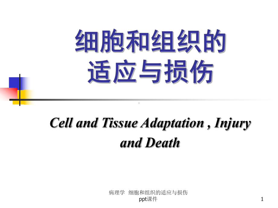 病理学-细胞和组织的适应与损伤课件.ppt_第1页