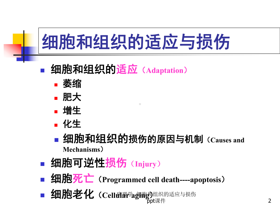 病理学-细胞和组织的适应与损伤课件.ppt_第2页