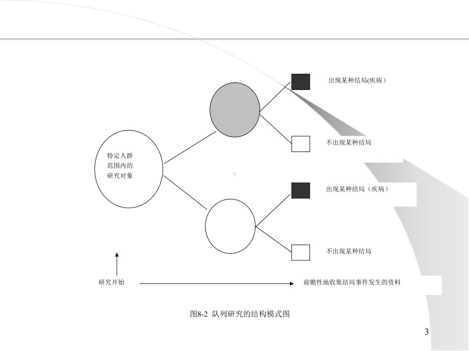 队列研究汇总(课堂)课件.ppt_第3页