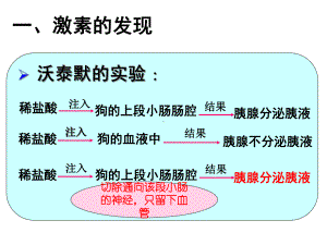 人体主要的内分泌腺及分泌激素的作用第一课时课件.pptx