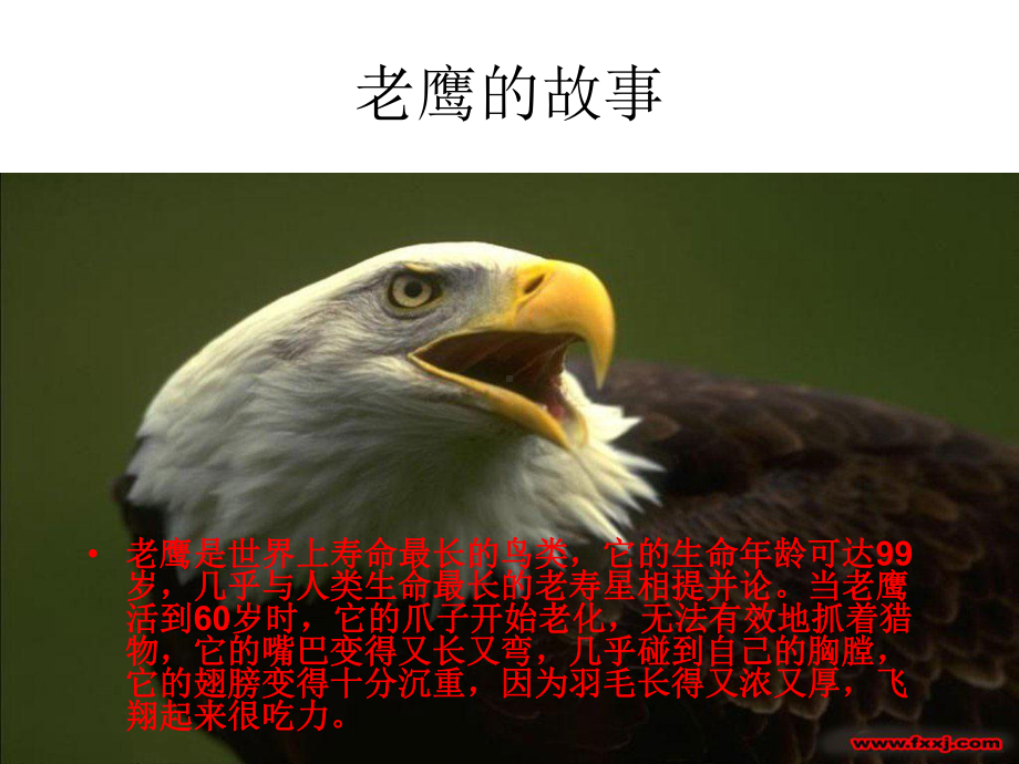 改变自我课件.ppt_第3页