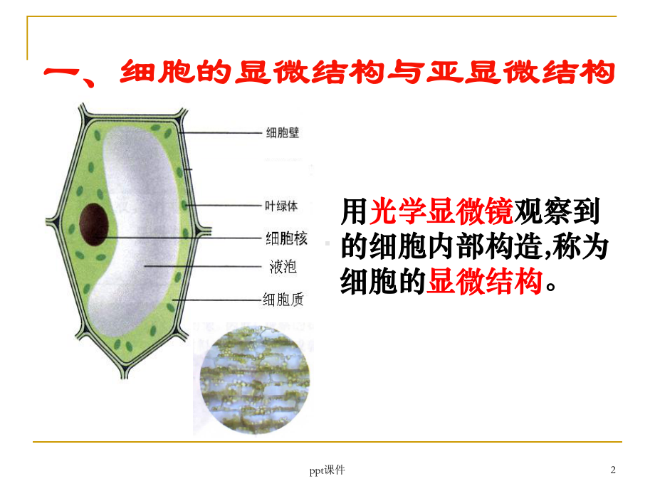 高中生物必修1细胞器公开课课件.ppt_第2页