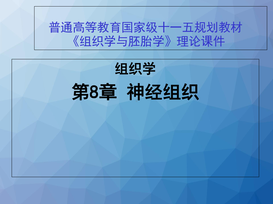 组织学-神经组织课件.ppt_第1页