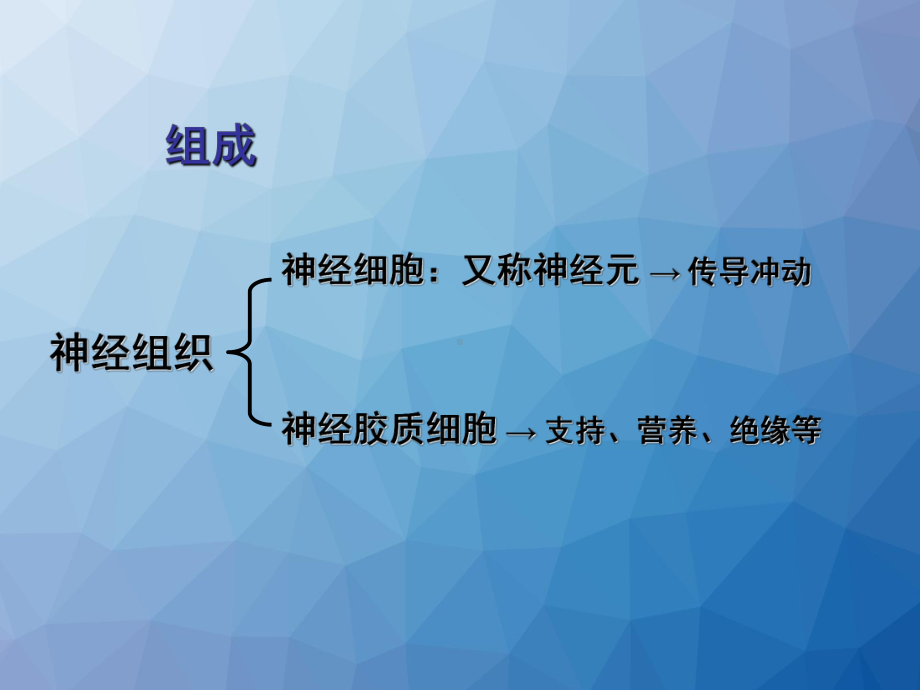 组织学-神经组织课件.ppt_第2页