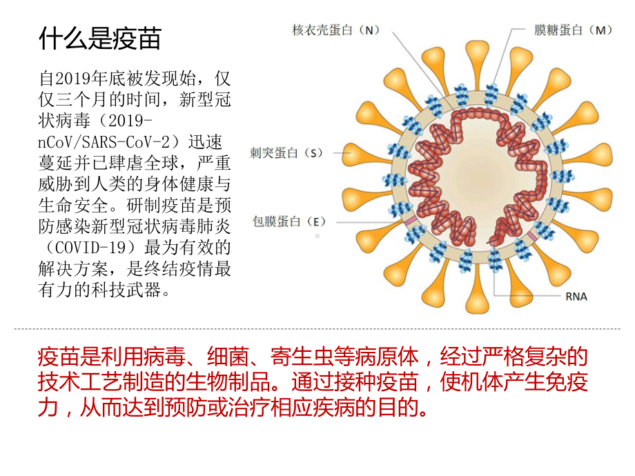 高考生物复习-二轮热点复习之疫苗课件.pptx_第2页